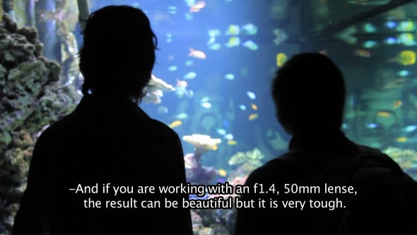 video-aquarium-nostrum-xisela-franco